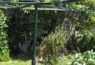 Clyde NSWvegetable-gardens-13.jpg; ?>